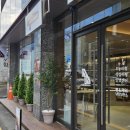 라이크세러데이
