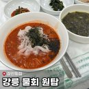 월척횟집 | 강릉 물회 맛집 “장안횟집”ㅣ인생 물회에 레전드 미역국 [내돈내산]