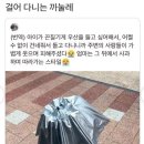부스스 이미지