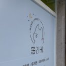 몽리케 이미지