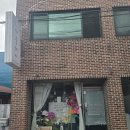 바다 품은 석고 방향제 | 순천공방 카틀레야 멸종위기동물 석고방향제 체험, 선물포장