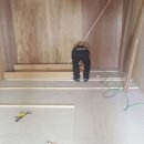 자이스크린골프 이미지