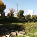 새마을교 이미지