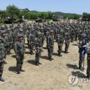 31여단
