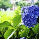 산 아래 이미지