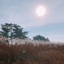 황해펜션 이미지