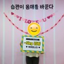 보담핏