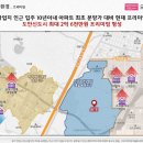 도안982