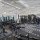 라이프헬스PT 이미지