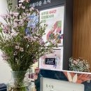 하당센터-5 이미지