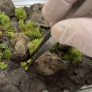 (원데이) 나만의 작은 숲, 테라리움 이미지