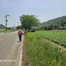 테마임도공원1 이미지