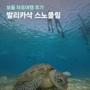 (주)영종베스트투어 | 보홀 발리카삭 호핑투어 내돈내산 보홀로컬프라이스 솔직 후기
