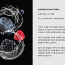 수컴퍼니 이미지