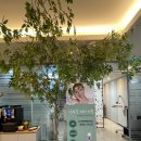 고은미의원 이미지