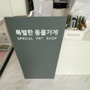 특별한동물가게 평택점 이미지