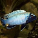 패밀리 아쿠아 이미지