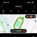데일리(DAILY)