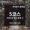 274-6부터274-13 삼일동우체국 | [제주도 올레길 5코스] 구간별 완주 후기② : 국립수산과학원~위미1리복지회관