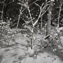 마음의 산책3 이미지