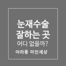 미인세상의원