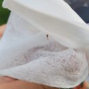 우명 | 파리 베르사유 궁전 거울의 방 솔직 후기 정원 운하에서 벌 쏘임 주의