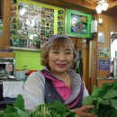 점봉산 산채 이미지