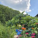 산뜨락힐링펜션 이미지