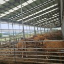 천안축산업협동조합배합사료공장 이미지