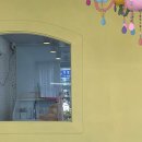 곰앤앙 | [강아지미용] 정쩡이 여름 준비 (@나랑노랑 강아지 미용실)