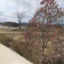 연곡약국 이미지