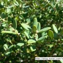 이천우의원 이미지