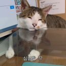 운암지 수변공원 이미지