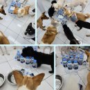 (주)그린어스 이미지