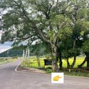 반룡경로당 이미지