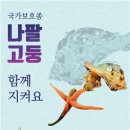 나팔횟집