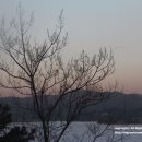 숲속한우 이미지