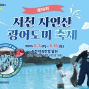 서천-19 이미지