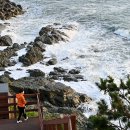 영도 해수랜드 헬스클럽 | 부산 남구 우암동도시숲, 황령산 등 여행지