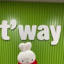 한국영상대학교 이미지