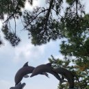 공곶이해변 이미지