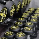 하드캐리짐 이미지