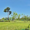 동탄 수질복원센터 파크골프장 이미지