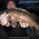 쏘갈매운탕 이미지