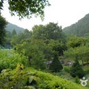 고산자연휴양림 이미지