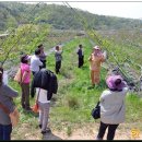 이경희농장 이미지