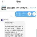 월풀&옷수선 | 2025 캐나다 여행#11: 마이리얼트립에서 파란여행 토론토 출발 나이아가라 1일투어 예약해서 다녀오기