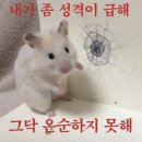 매쓰천사원격학원 | 받아들이자..들이받을 수는 없으니까…