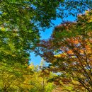 옥샘캠핑장 이미지