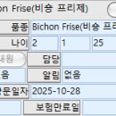 라파엘종합동물병원 이미지